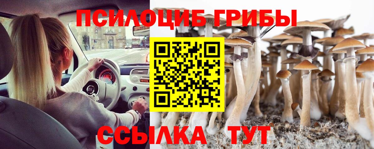 Галлюциногенные грибы Psilocybe Кинель